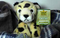 Stuffed cheetah