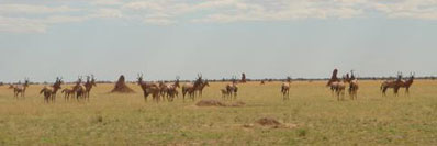 Namibia